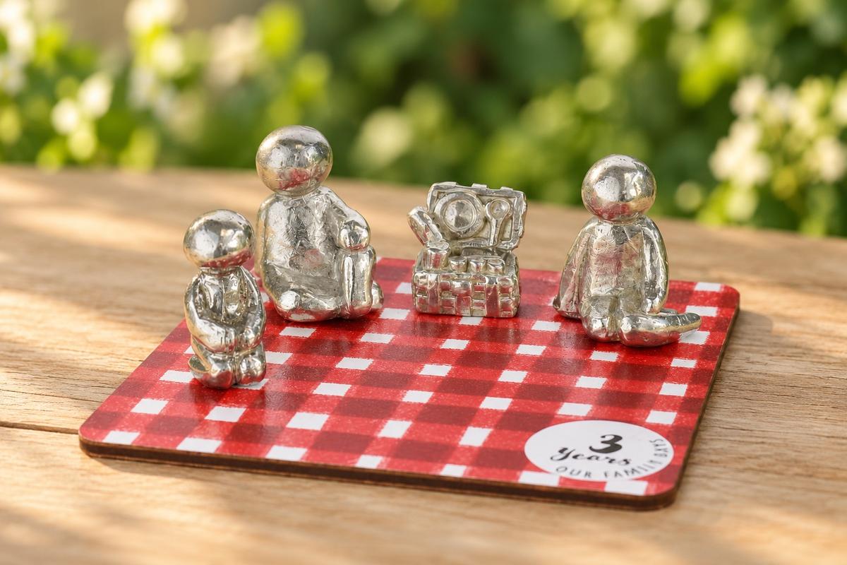 3 Years of Family Days Picnic - Our Family Days Collection - 3 Year Anniversary - Choose Amount of Children